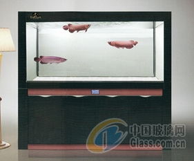 成都托田经典水族用品厂 鱼缸辅助用品及配件产品报价与供应商优势解析