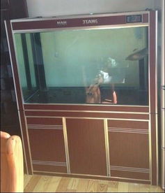 鱼缸包边条 选对配件，打造完美水族景观