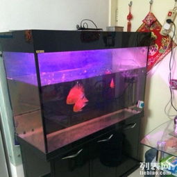 一米二鱼缸及全套配件转让