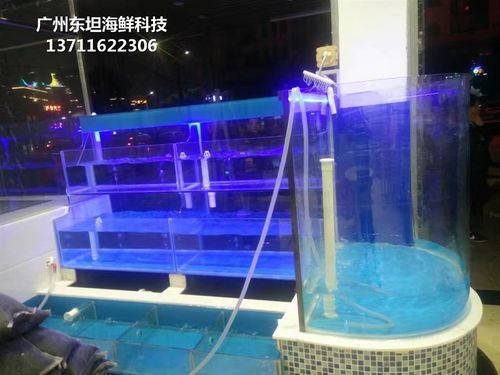 佛山海鲜池配件与玻璃鱼缸 宠物水族配件的专业选择指南