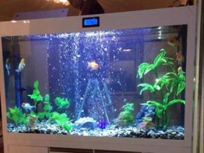 成都定制鱼缸与海鲜池厂家直销 一站式供应加工与配件服务